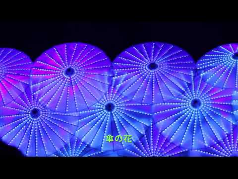 Zhangjiajie, província de Hunan, China Atraente Xiangxi “Show de Minorias Étnicas Parte 4”