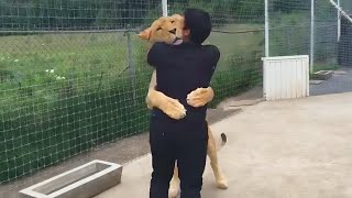 Man Reunites With Pet Lion AFTER 7 YEARS...