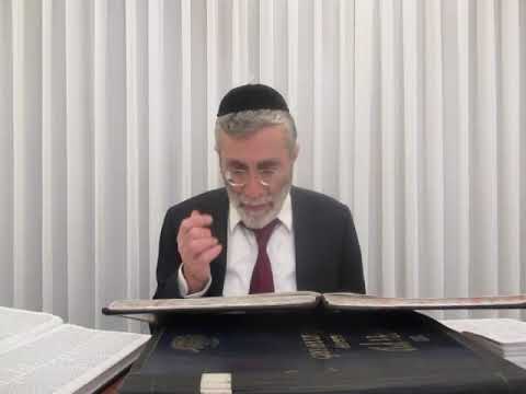 הרב יהושע ביבי - תשפ"ו - פסח - שיעור מס'' 022 -שעה''כ דף פב' סוע''ד בכוונת כוס ראשון ובאוה''ל להלכה