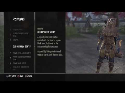 Hero of Wrothgar Costumes