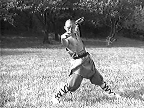 shaolin zui quan