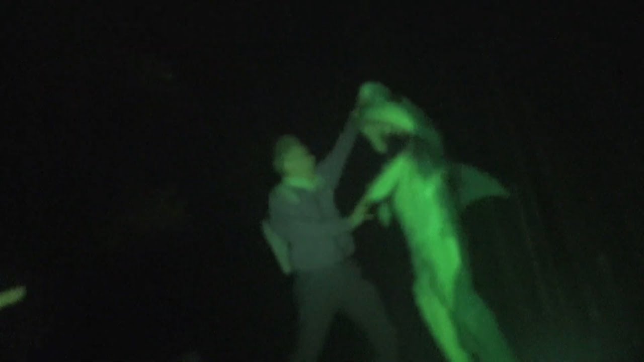 "LOVE SHARK" (2023) | Japanese Found Footage Horror Movie Trailer