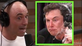 Joe Rogan on the Elon Musk Controversy