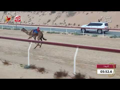   ش 1 (ريماس) لـ محمد زايد خليفه الطنيجي 9:54 , شارة الديوان 3 2026/10/07 ثنايا اللبسه    