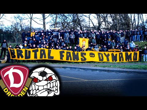 Fanszenenvorstellung - SG Dynamo Dresden