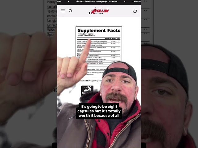 Apollon Casanova Gets a 2026 Formula Upgrade