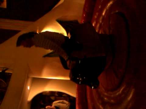 teamuitstapje RKHSV rodeo