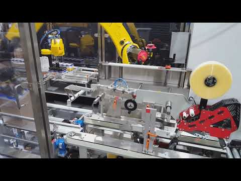 High Speed Robotic Case Packers for RSC Cases