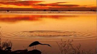 1910 - Nara Leão -  Casinha Pequenina - Domínio Público