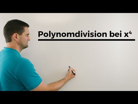 Polynomdivision bei x^4, doppelte Polynomdivision, Polynome teilen | Mathe by Daniel Jung