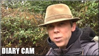 Diary Cam - Minnesota drunk birds