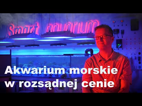 Akwarium morskie w rozsądnej cenie cz.1
