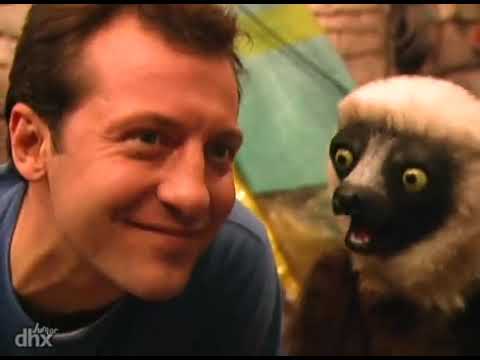 Zoboomafoo: Lares | Temporada 1 | Dublado Português 🇧🇷
