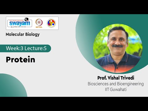 Molecular Biology Introduction Video