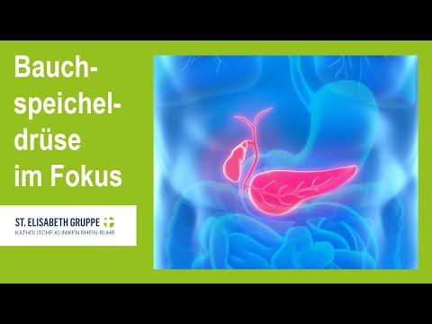 Bauchspeicheldrüse im Fokus: Ursachen, Diagnose und Behandlung