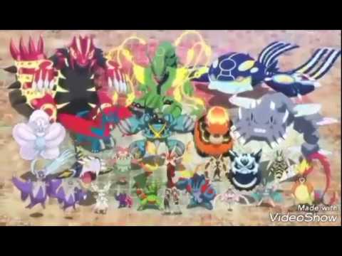 Está bem equilibrado  Pokémon Amino Em Português Amino