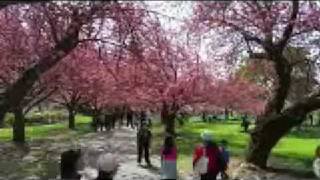 Underoath- Desolate Earth The End Is Here