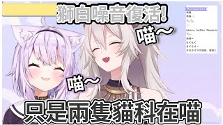 【喵噪音】獅白和小粥一起喵 太難得啦!獅白噪音復活!!〖hololive/ホロライブ〗〖獅白ぼたん/猫又おかゆ〗〖獅白廢片〗