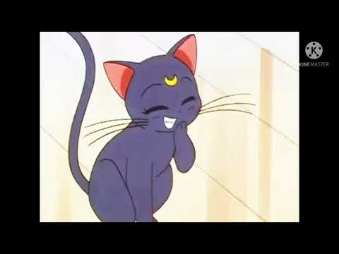 Beauty & The half demon part 9 (Kagome meets Luna eevee & syl)