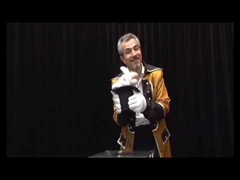 Rabbit in Hat by Tora Magic