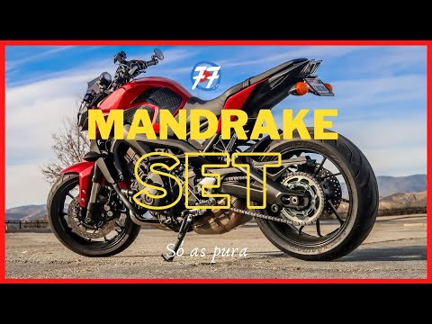 Set dos Mandrake - Só as pura  , VOLUME 1  ( Vide-o Clipes )