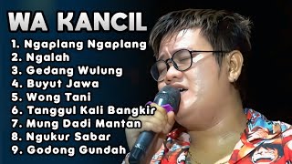Download lagu WA KANCIL NGAPLANG NGAPLANG FULL ALBUM 2025 ‼️ tarling Cirebon dermayu 2025 full album mp3