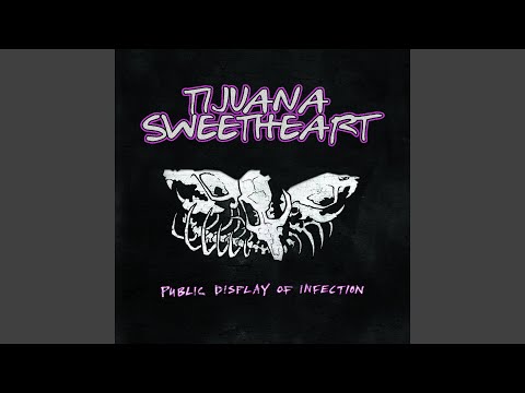 Angel of the Morning