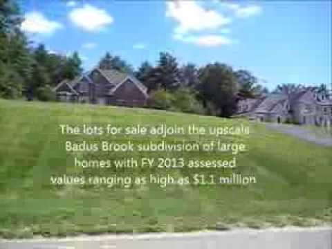 Badus Brook Crossing Wrentham MA   tour of existing homes