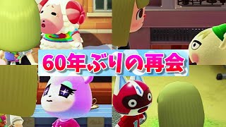 【あつ森】60年ぶりに再会した住民たちの反応。【あつまれどうぶつの森】【ちゃちゃまる・ジュンくん・みすず・一号など】