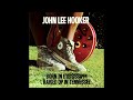 John Lee Hooker - How Many More Years You Gonna Dog Me 'Round? [4.0 Quad Surround Sound]
