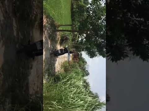 Bán đất 2 mặt tiền gần tỉnh lộ 7 (KCN Tây bắc) 634 m2 -Thái mỹ - Củ Chi - 850tr