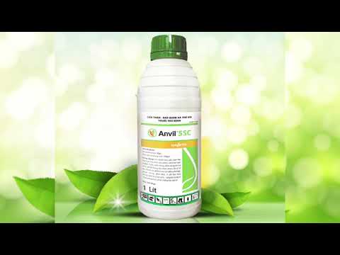 VFC - Cánh đồng hội nhập | ND Lê Văn Thành - CP_AG