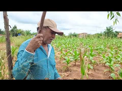 Zona rural de lindo Horizonte município de anagé Bahia saindo da Catarina 