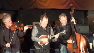 Seldom Scene - Hickory WInd