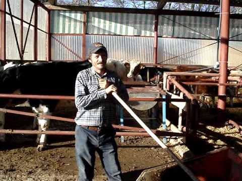 bida la grajdi. sistarovat