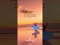 Sufi Sufism Rumi Islamic Malayalam Whatsapp Status 02 Instagram Reel