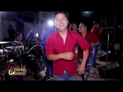 PARRANDA INSTRUMENTAL - CELITOS DE AMOR / EN CUTERVO