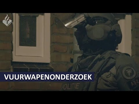 Politie | Aanhoudingen en doorzoekingen in Nederland en Tsjechië in vuurwapenonderzoek | DSI | DLR