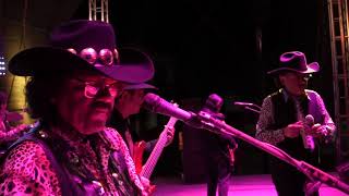 LAPIZ LABIAL   LOS FELINOS