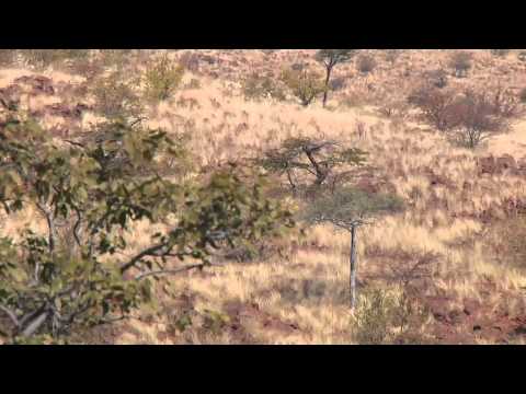 TWSA 2011 Episode 12 Namibia Plains Game