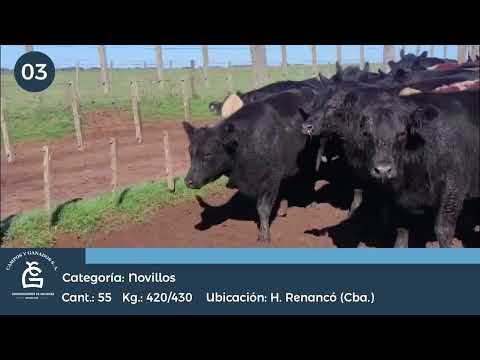 Lote NV CONSUMO - Huinca Renancó Cba