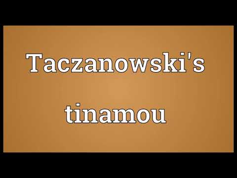 Taczanowski's tinamou Meaning
