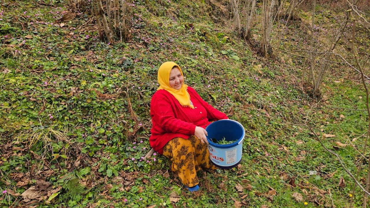 ‼️HER DERDİN İLACI DOĞADA ‼️