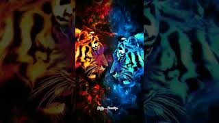 Download lagu Watak Aquarius #story #quotesstory #bulankelahiran #zodiac #aquarius mp3