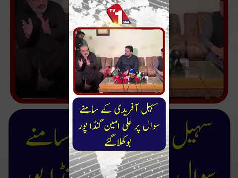 علی امین گنڈا پور سہیل آفریدی سے متعلق سوال پر ٹھوکر کھا گئے۔
