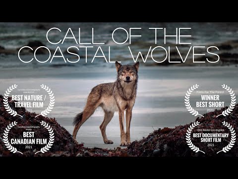 Wolves - COASTS