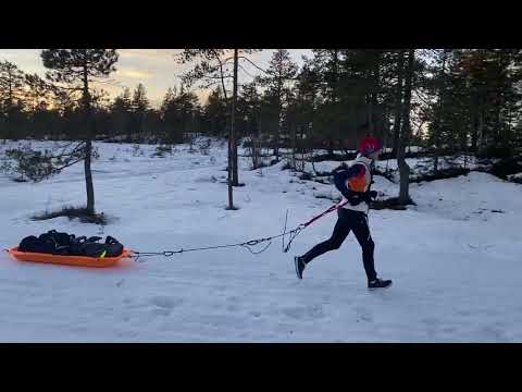 Winter trail running with pulk