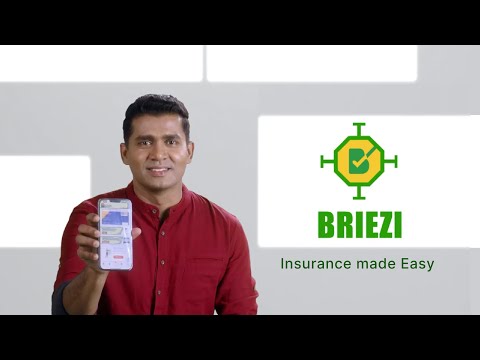 Briezi: Protection Forever