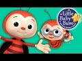 Learn with Little Baby Bum | Ladybug Ladybug | Nursery Rhymes for Babies | Songs for Kids