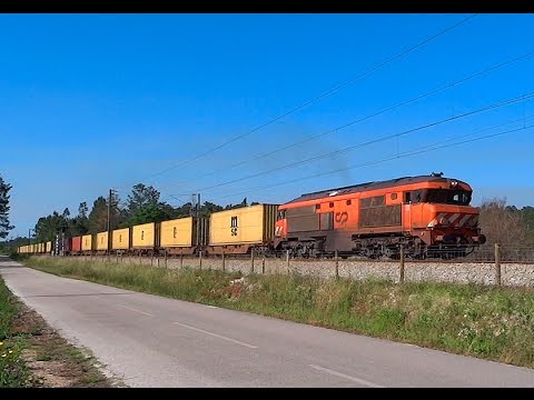 MSC Rail Container Train